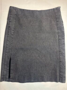 Fylo Skirt Size 12